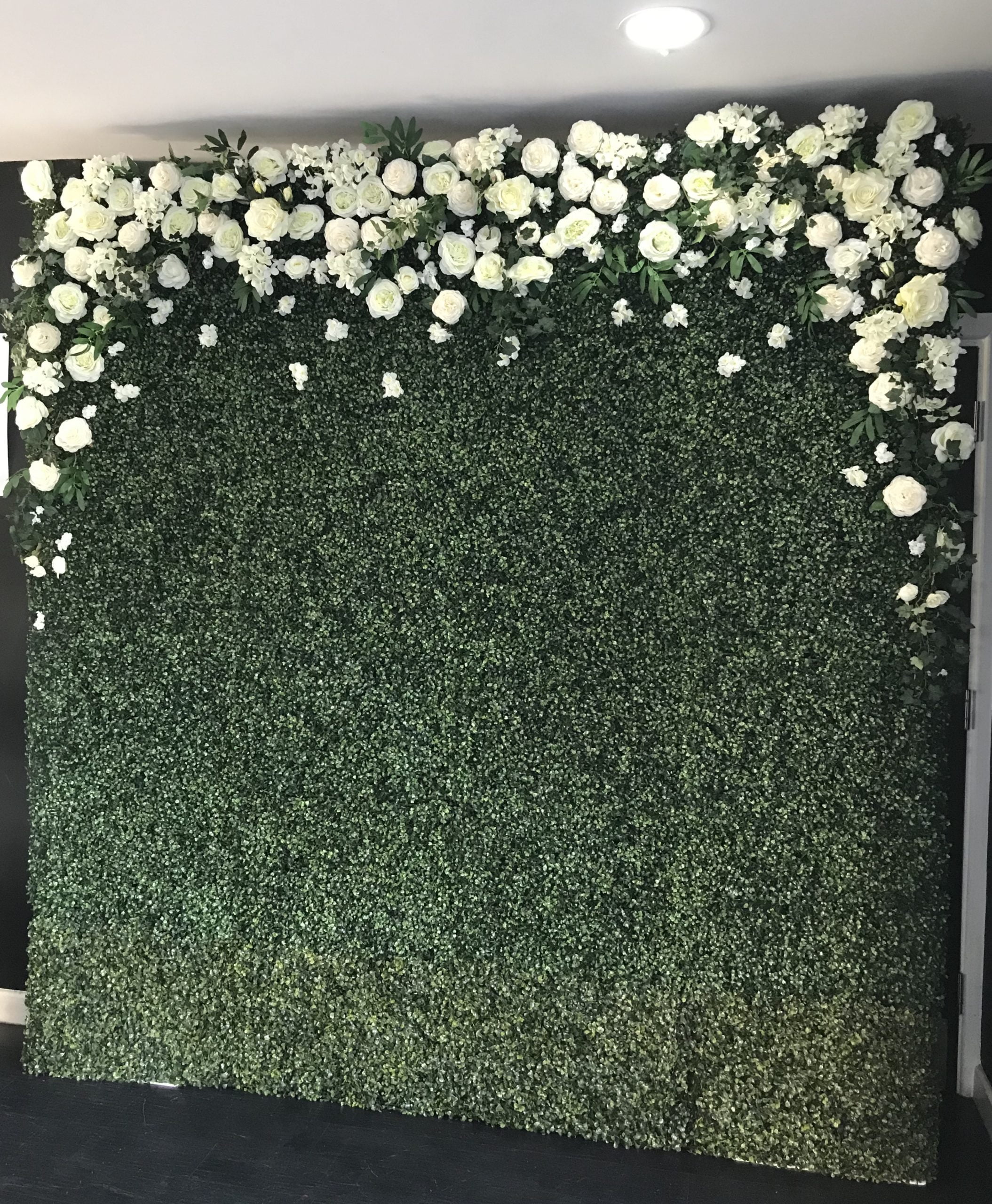 Jasmine Wall